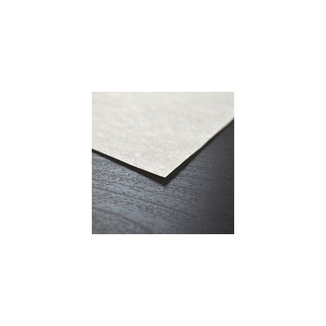Matte Finish Economy